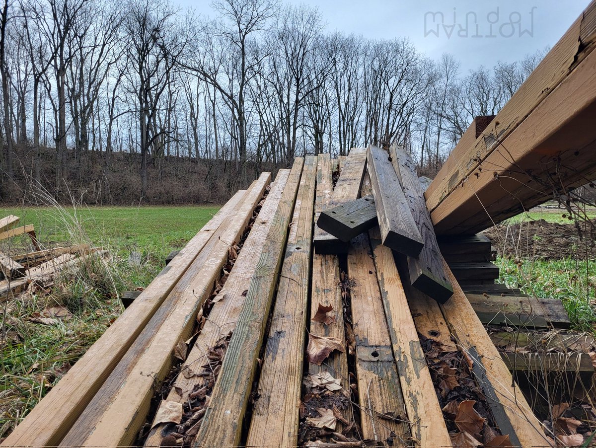 MindofMottram's tweet image. Alphabet Challenge
Day L

Share anything that starts with the letter L!

Lumber