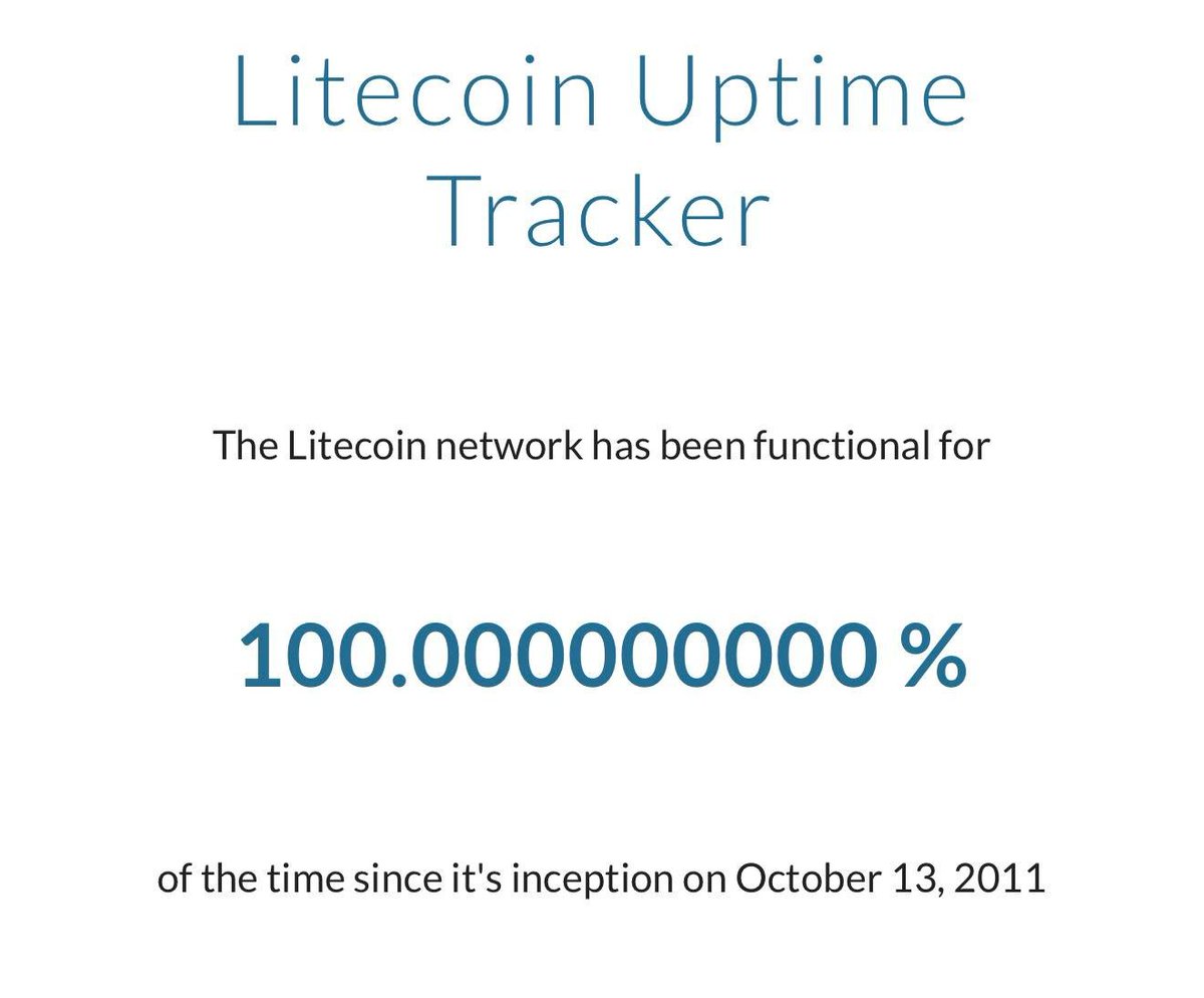 Santolita tweet media