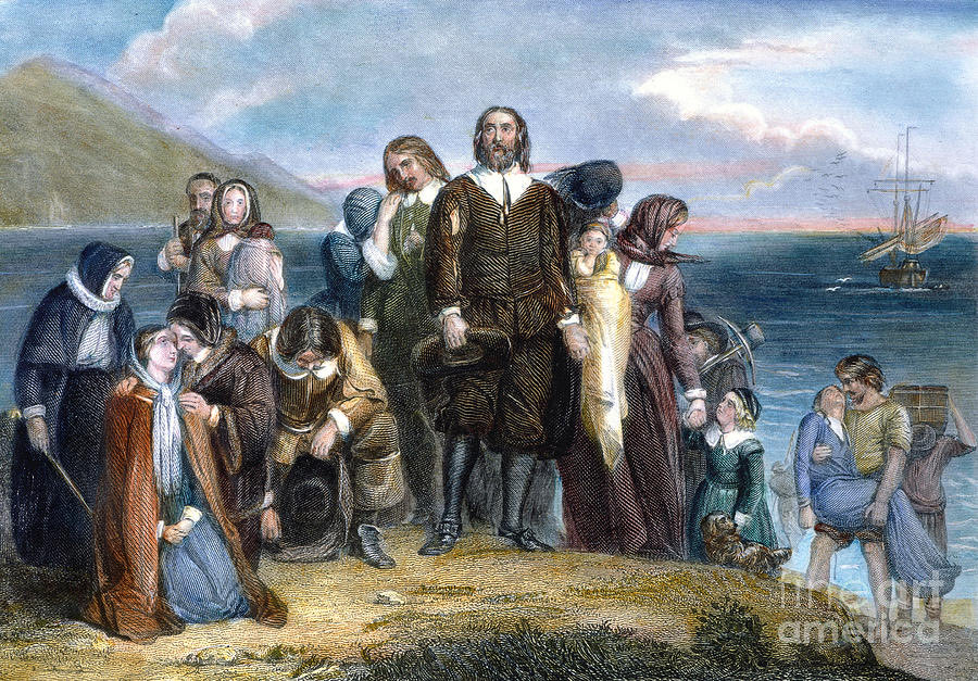 🇺🇸 The American Culturist 🇺🇸 tweet media