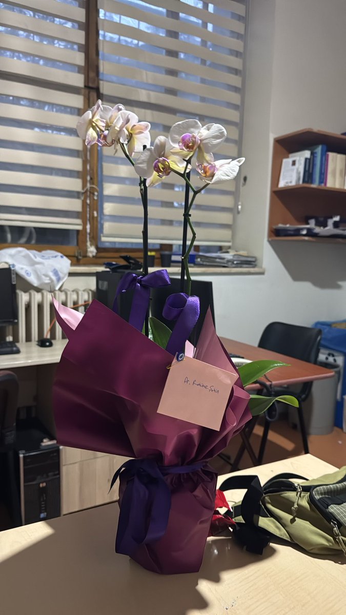 Rahimeeshn's tweet photo. Geçen yıl sipariş verilmiş, şimdi teslim edilen bu çiçeği kim gönderdi lütfen söylesin :d https://t.co/XtYnla33mH