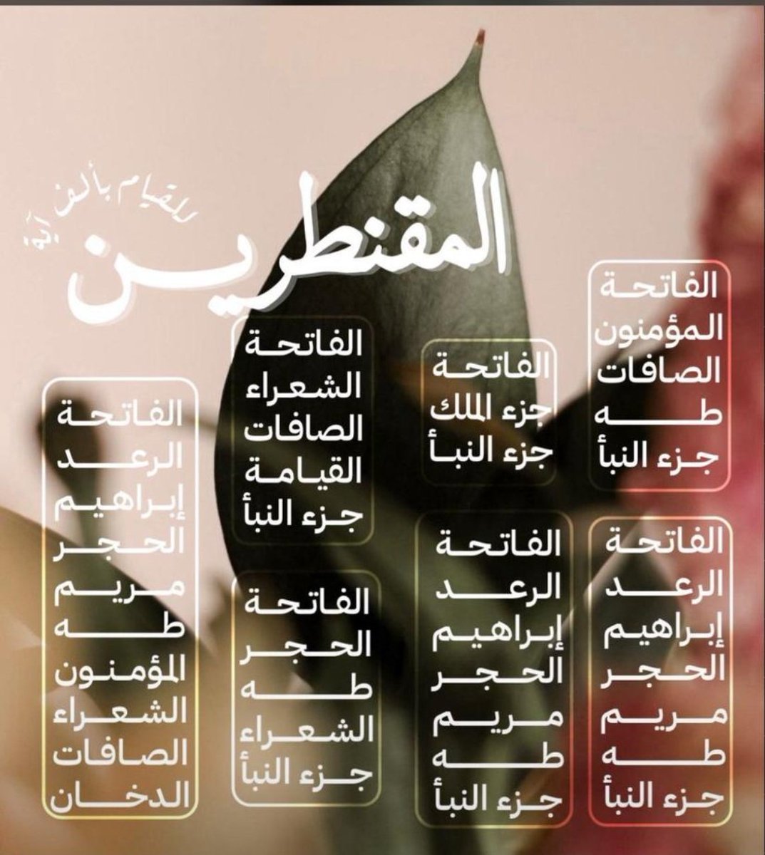 🌙🩵 شيم tweet media