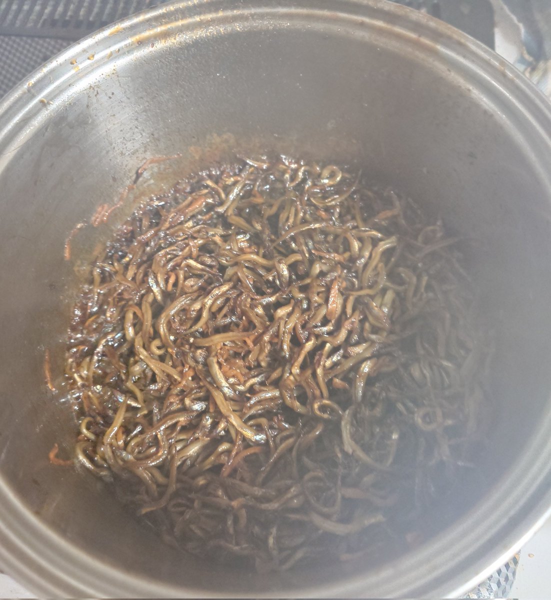 pochitoRose's tweet photo. 祭りです！何の？
関西のおばさま方が
お財布片手にスーパーに走り、
家の中を醤油のフレグランスが
満喫しようと、何キロも炊く
『いかなごのくぎ煮』
なぜか私も夜中の1時に参戦🫡
知ってますか？今年のいかなご
は4千円〜7千円。
それでも炊くのです。 https://t.co/2BDMU0KkbU