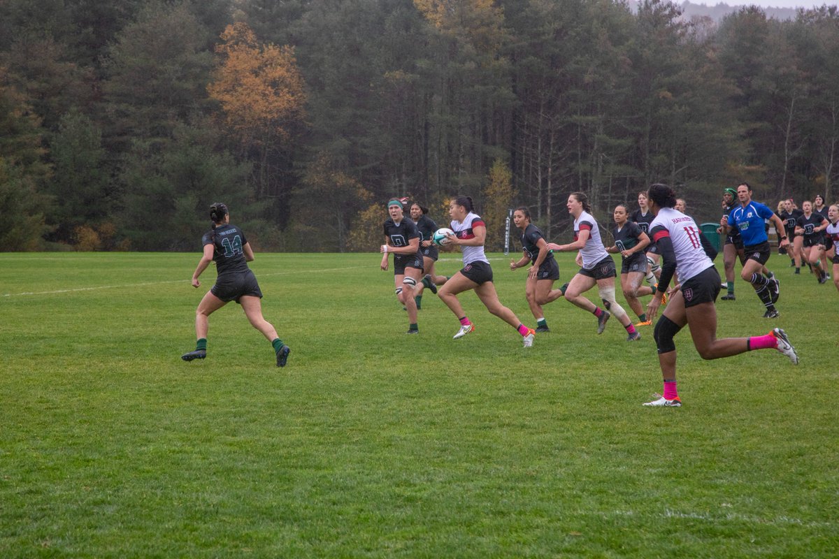 Shoot To Kill NYC tweet media