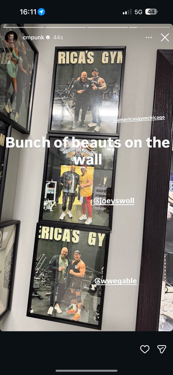 CM Punk Stories tweet media