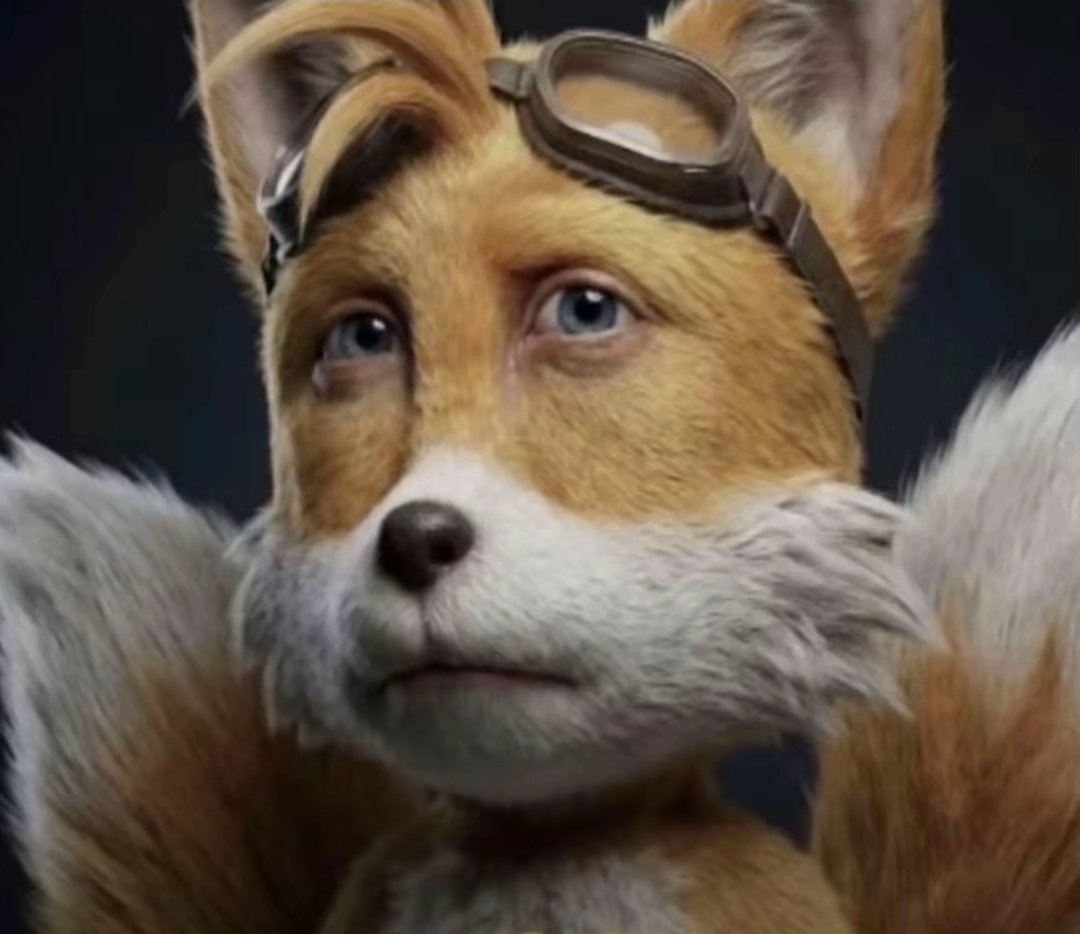 Finlayfin212 tweet media