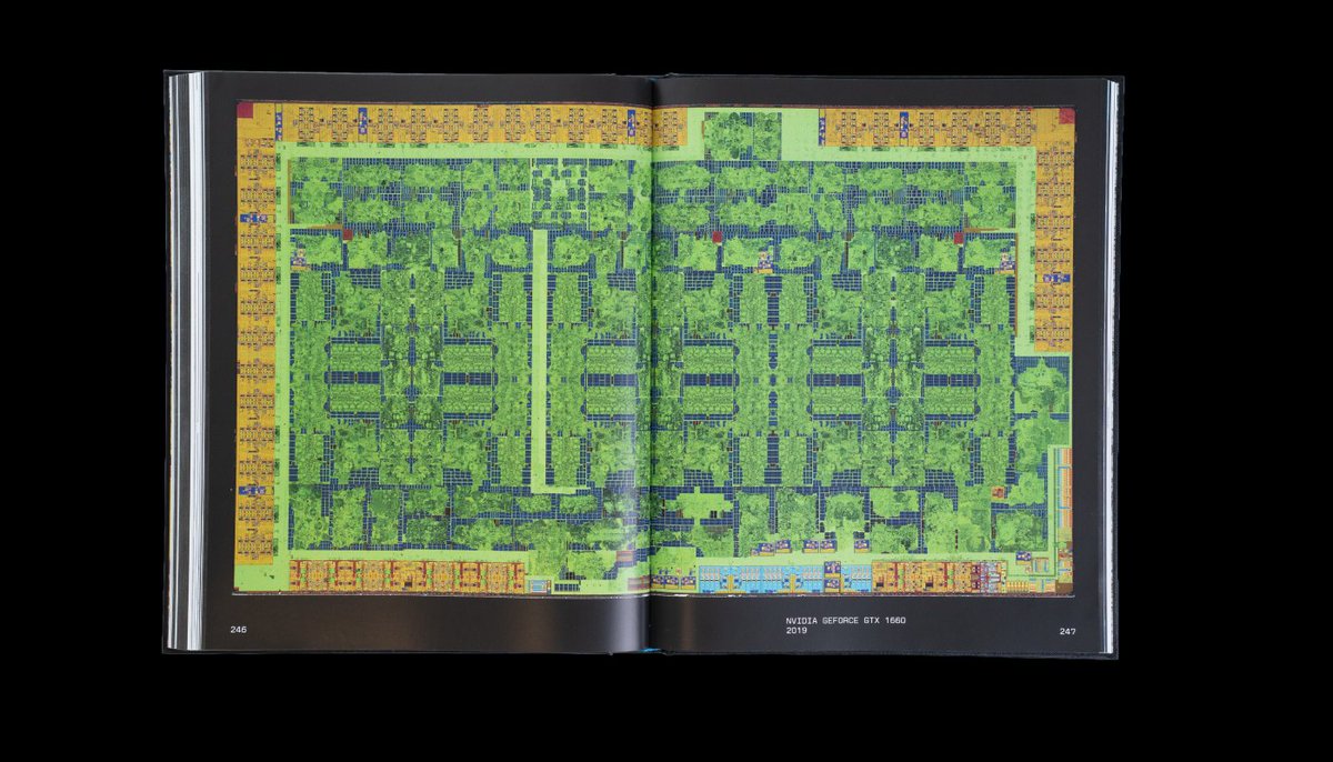 Maxwell Meyer tweet media