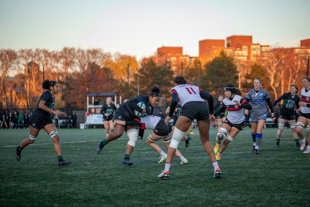 Shoot To Kill NYC tweet media