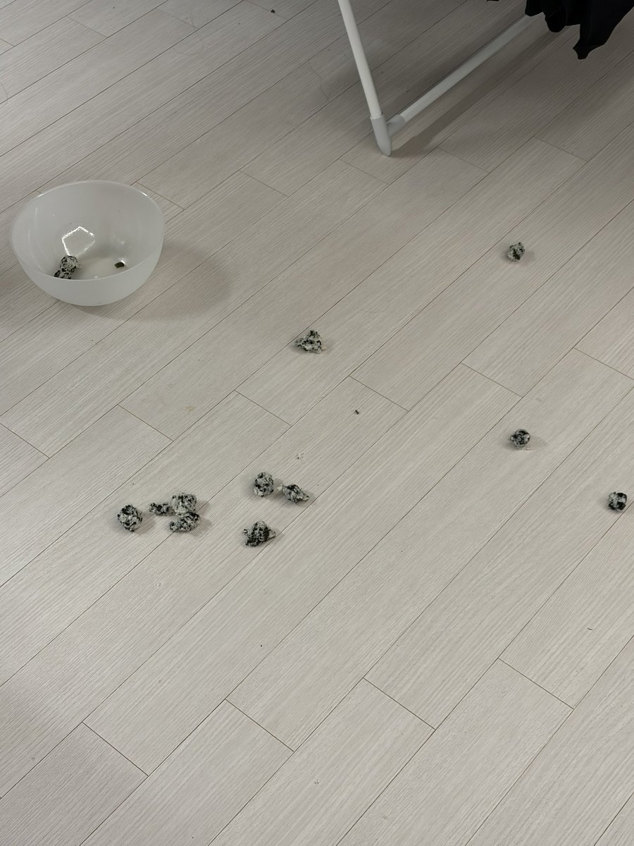 초승달 tweet media