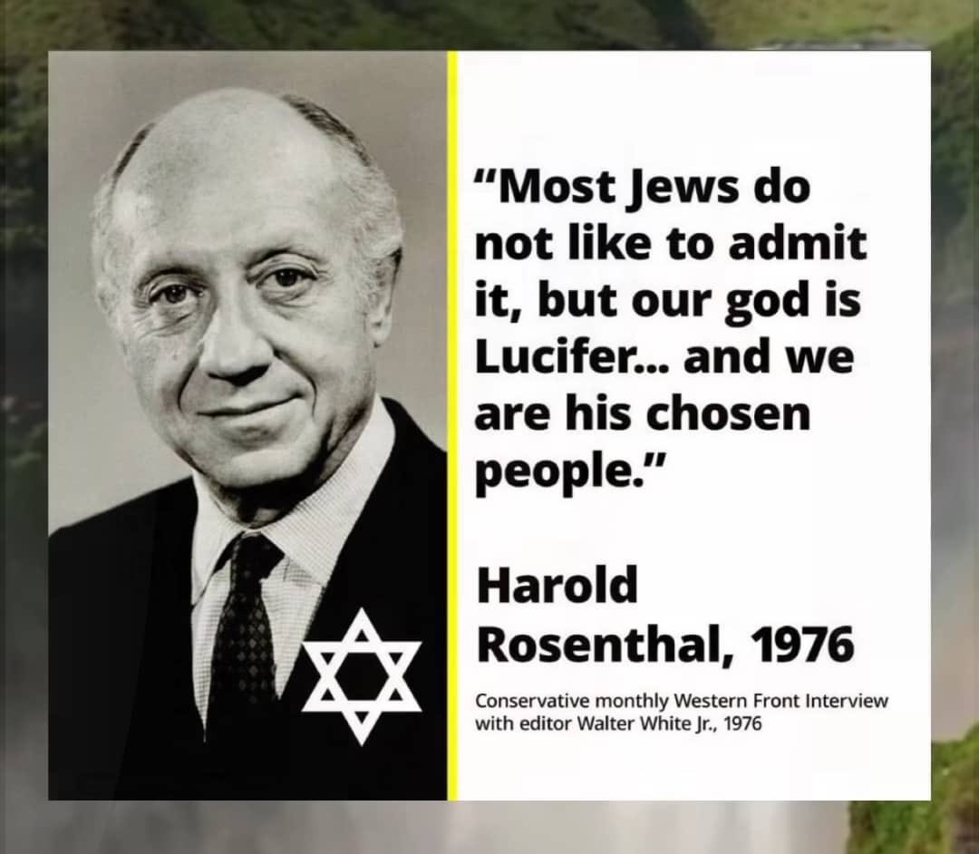 ardson 🅉 tweet media