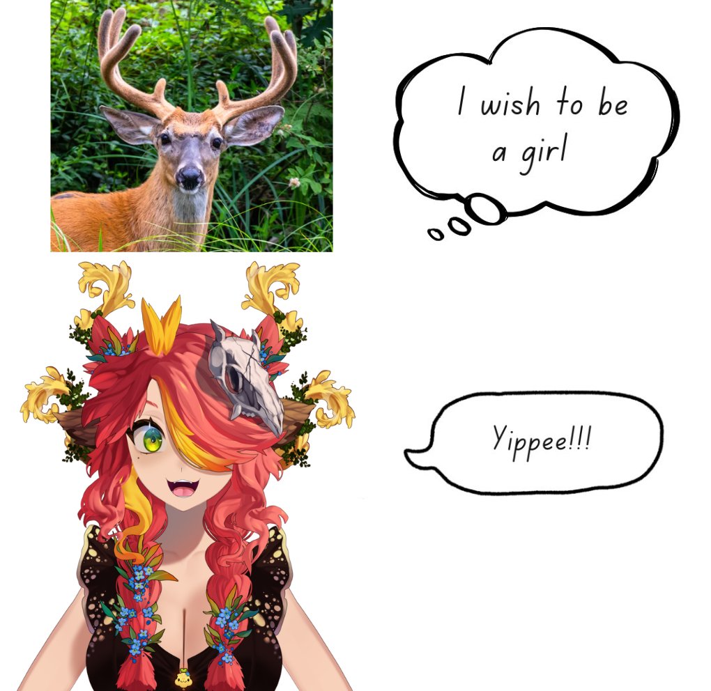 Mallie Sprout tweet media