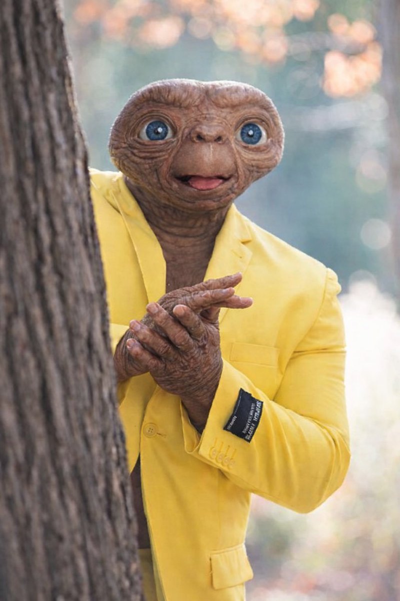 LarpFi (wojak arc) tweet media