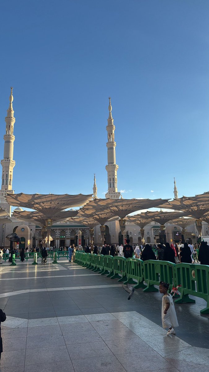 هياء tweet media