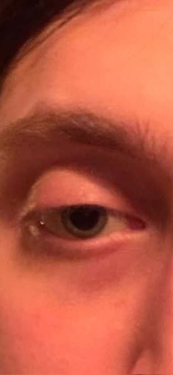 Nordestino tweet media