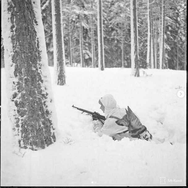 Maria🇫🇮🇺🇦 tweet media