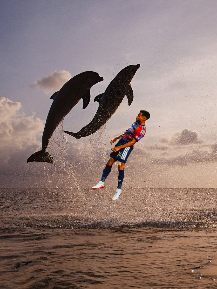 Houston Dynamo FC tweet media