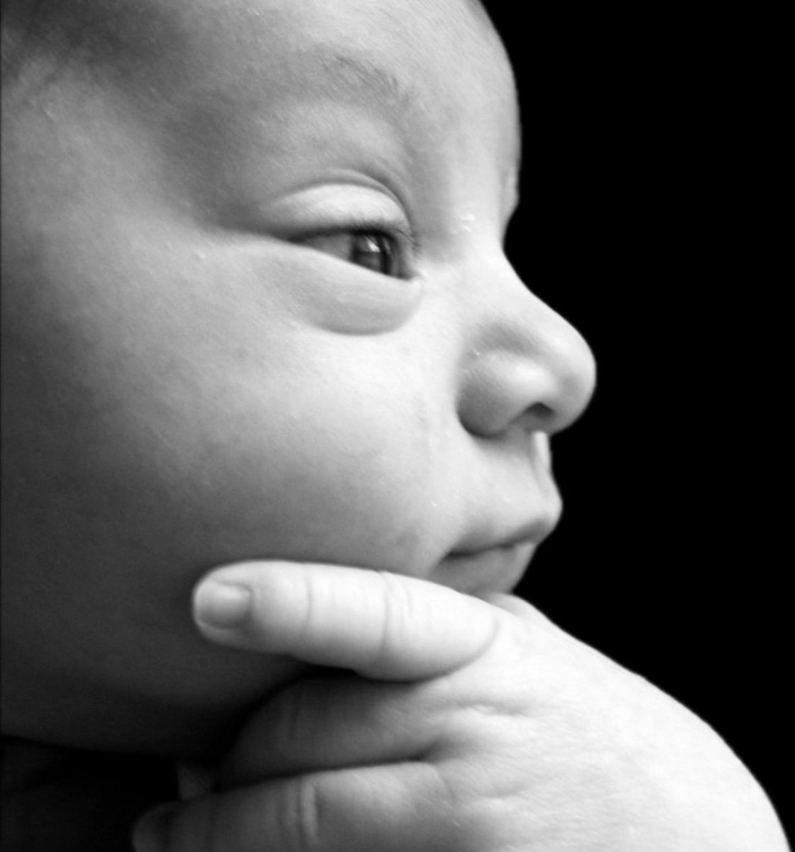 is 〜*:・ﾟ🔻🇵🇸 tweet media