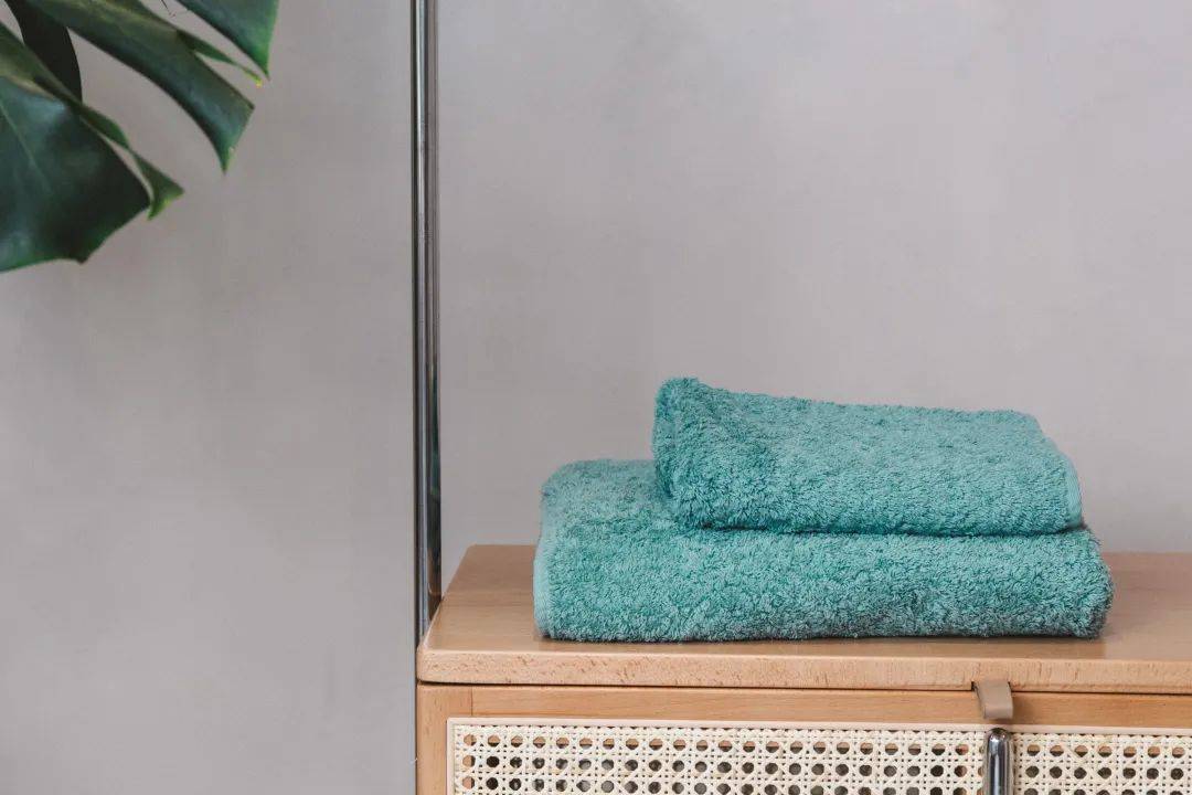 catia ferraro tweet media