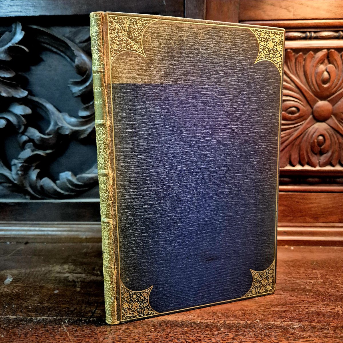 Petersfield Bookshop tweet media