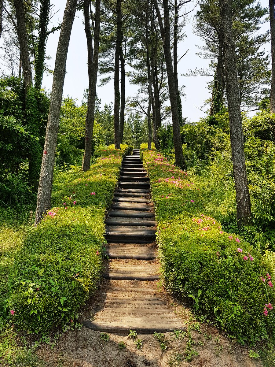 Маргарита tweet media