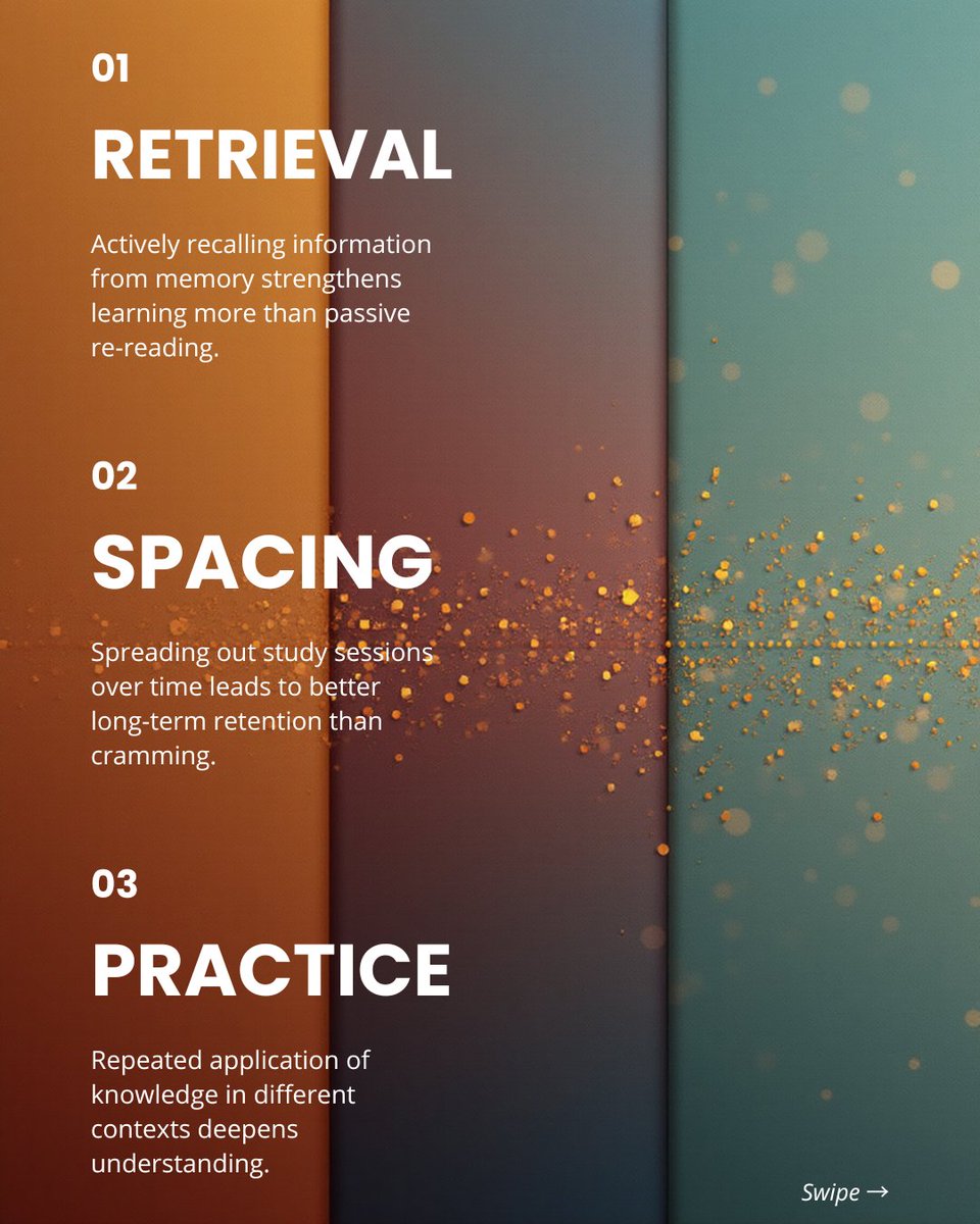 🧠The CTTL🎓 tweet media