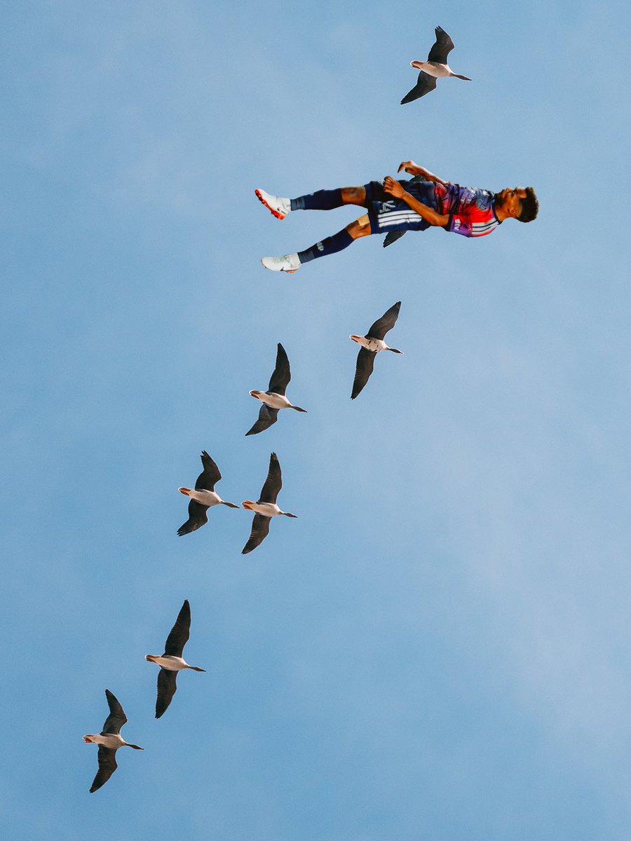 Houston Dynamo FC tweet media