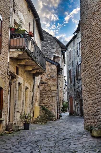 Heather Moore tweet media