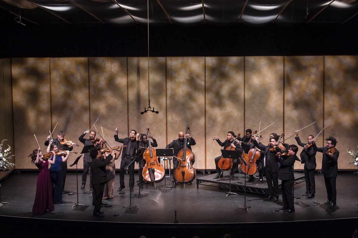 Sphinx Organization tweet media