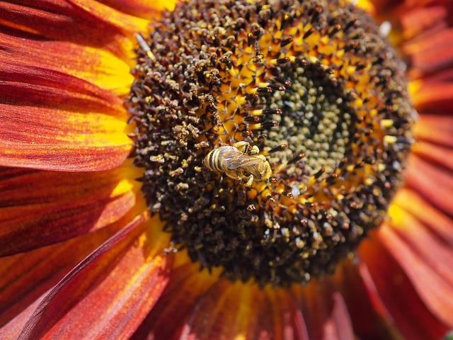 Karli Davis tweet media