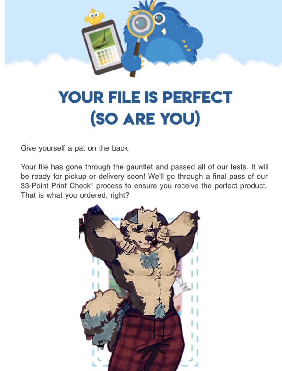 MACK 🔜 LVFC tweet media