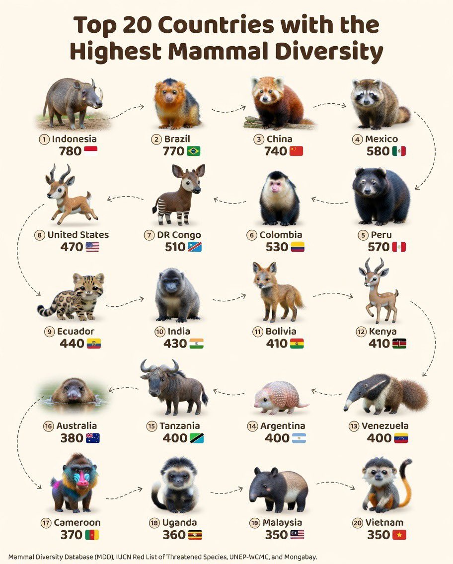 Cata Paul 🃏‍‍‍ tweet media