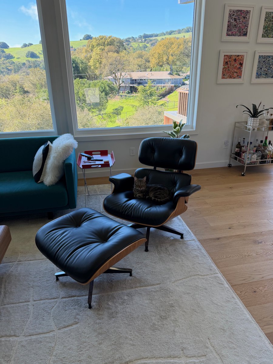 The Girl with the Mozart Tattoo tweet media