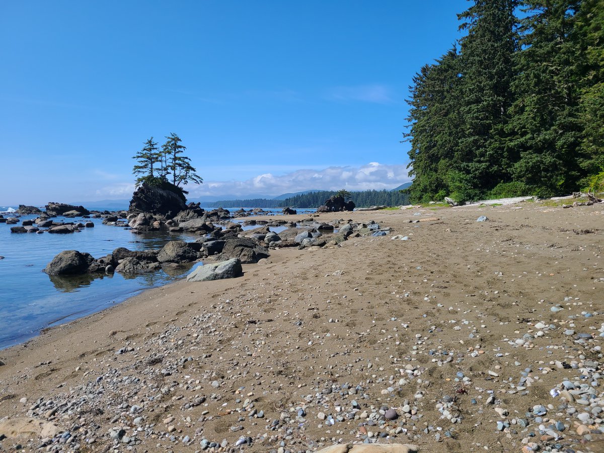 coastalbliss's tweet image. Three incredible coastal hiking trips, one unforgettable region. The West Coast Trail, Cape Scott Trail, and Nootka Island Trail showcase the wild beauty of Vancouver Island’s Pacific coastline. 🌊🌲 #BackpackingAdventure f.mtr.cool/wzedkdobzs
