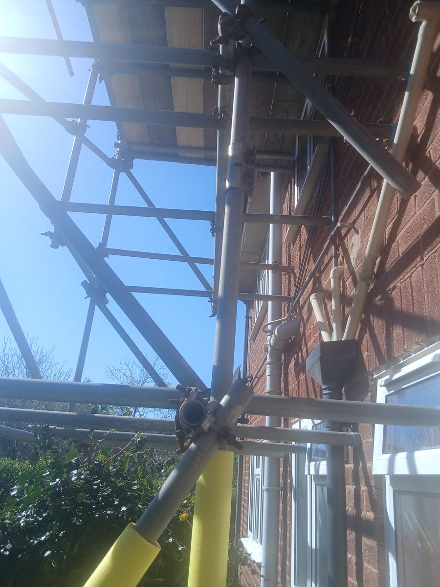 John Mills tweet media