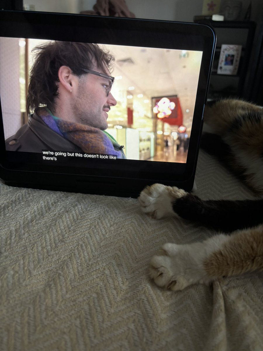 hi .<a href="/moremarriott/">James Marriott</a> my cat is loving ur paris video from last year