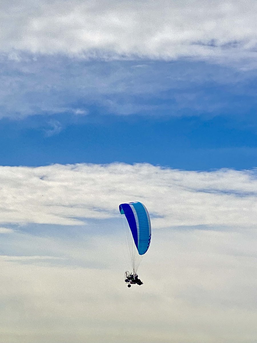 Javier Sobrino tweet media