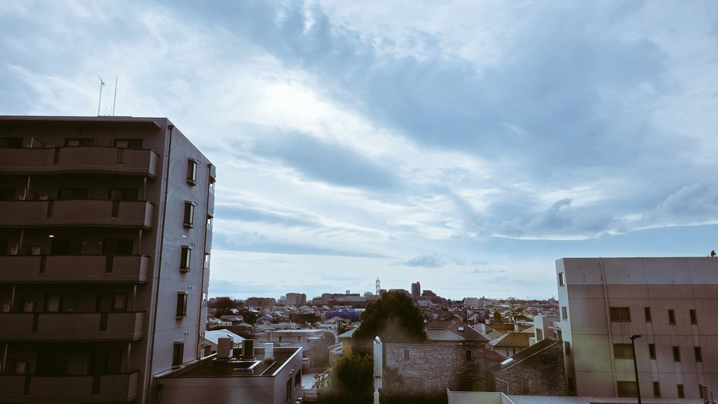 Phoebe Chan 🐝🌸 Densetsu.EXE tweet media