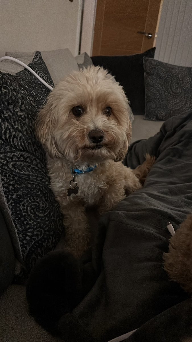 TheNelson tweet media