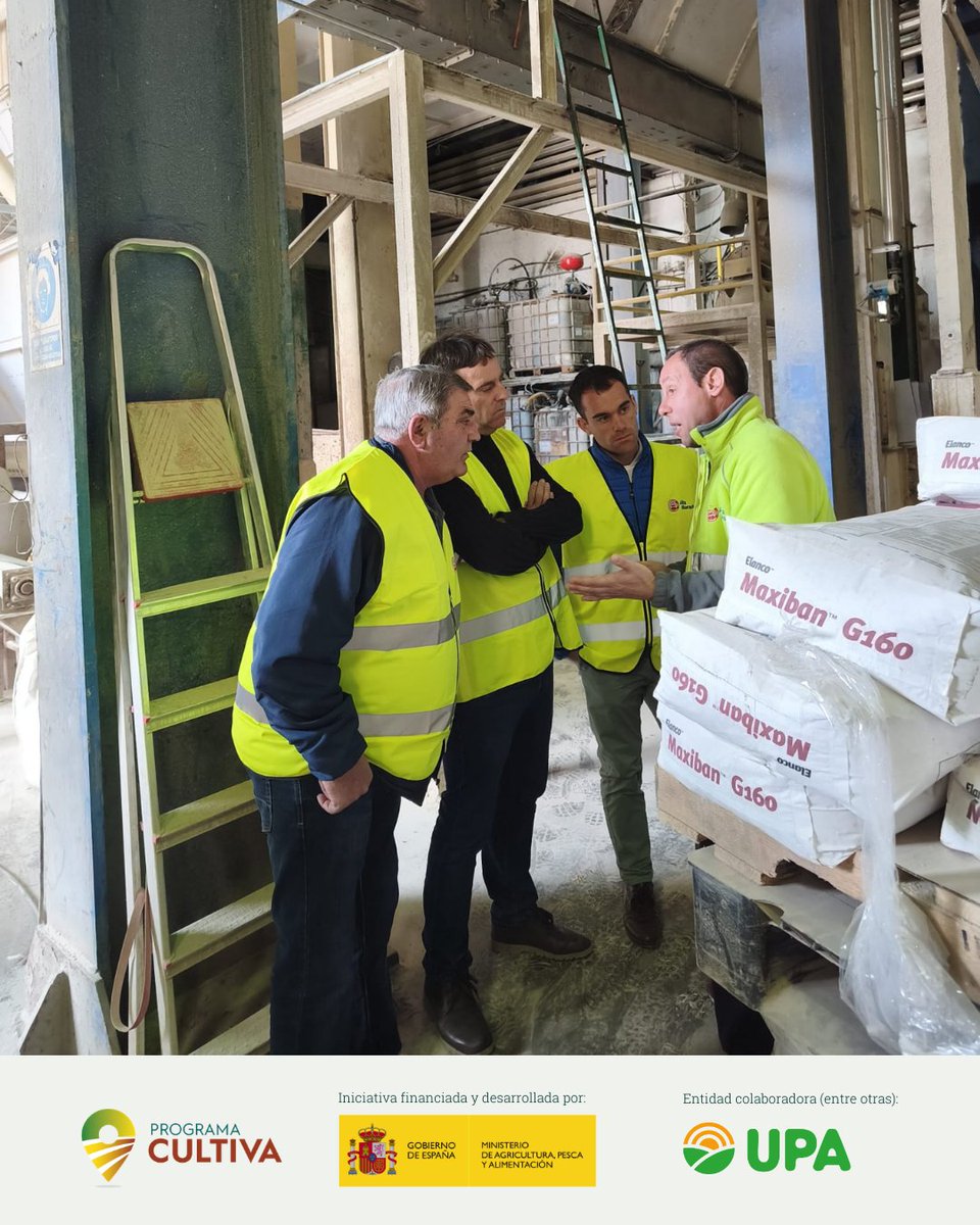 RAÍCES por UPA Joven tweet media