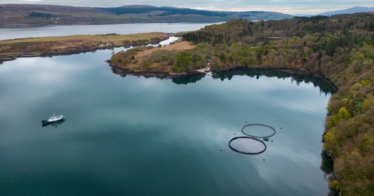University of Stirling tweet media