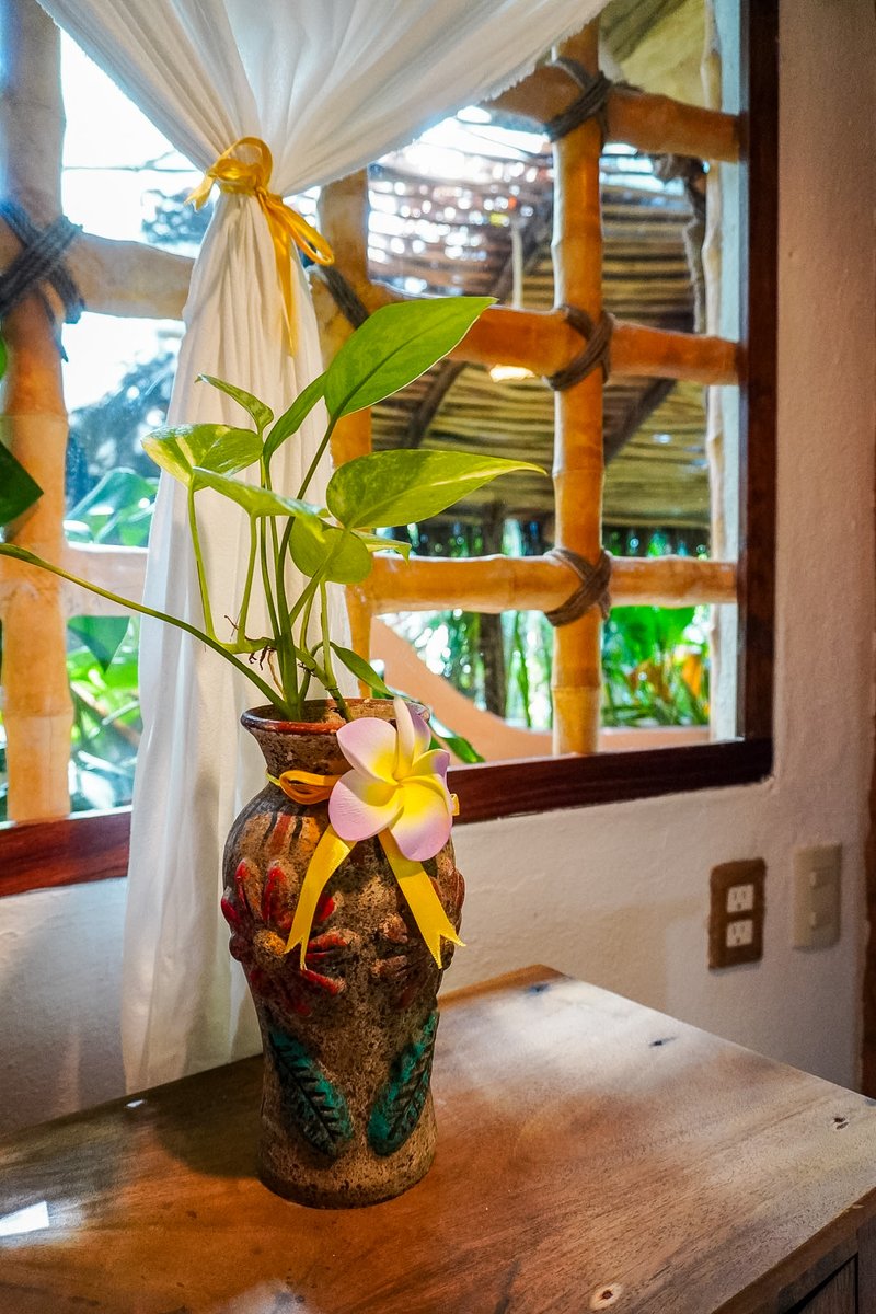 playaescondida's tweet photo. Villa 2 details 🌿 where even the smallest corners feel intentional, calm, and quietly beautiful.

#PlayaEscondida #Sayulita #BoutiqueHotel #HiddenParadise https://t.co/0Po8f1C0D1