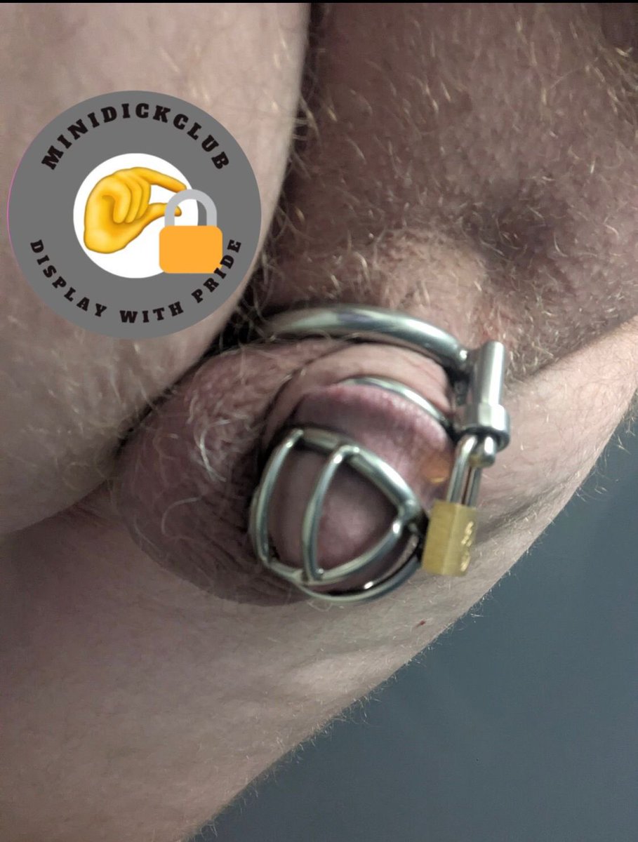 MiniDickClub™️ tweet media