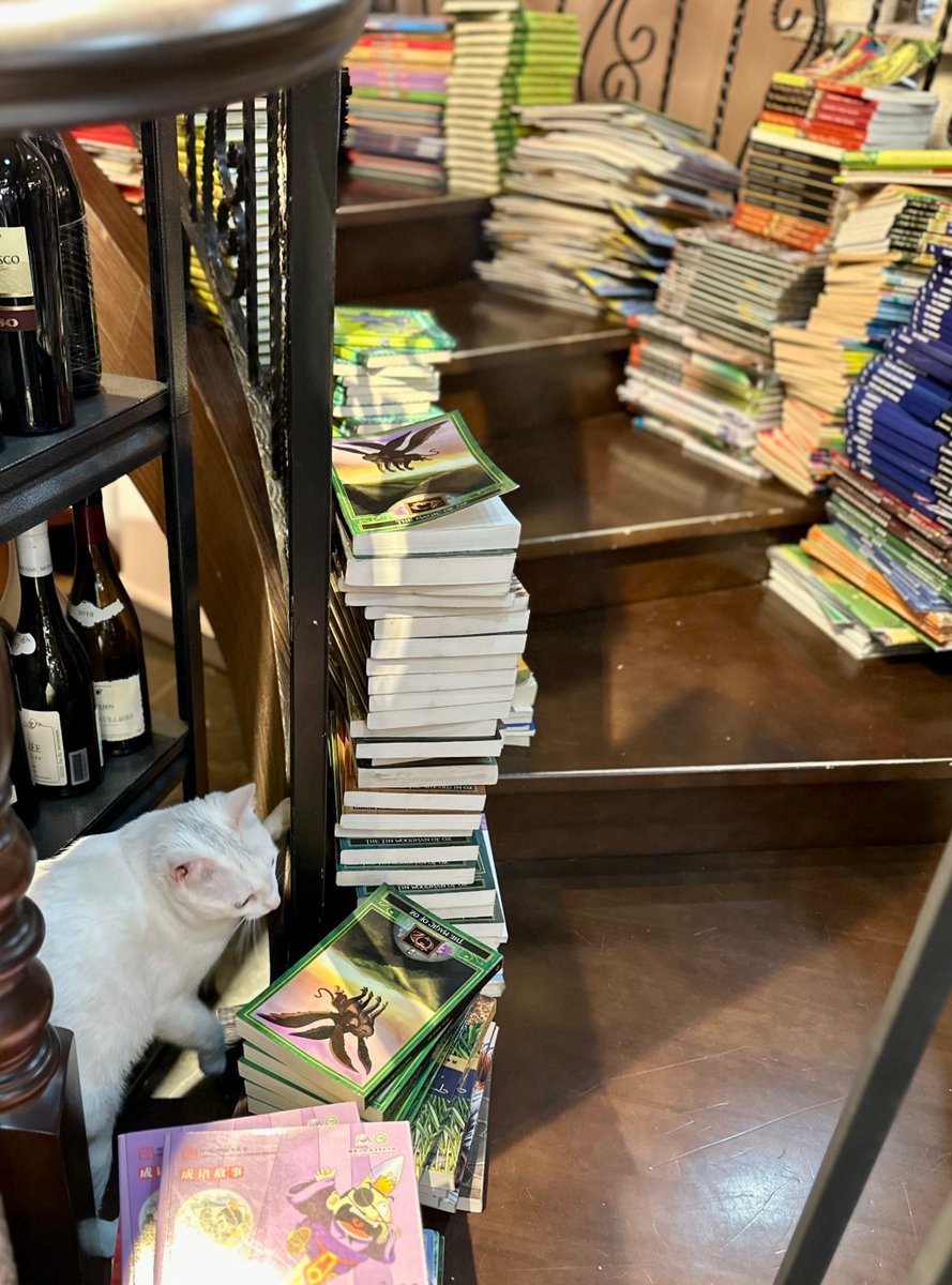 Dusty Ray Stroub tweet media