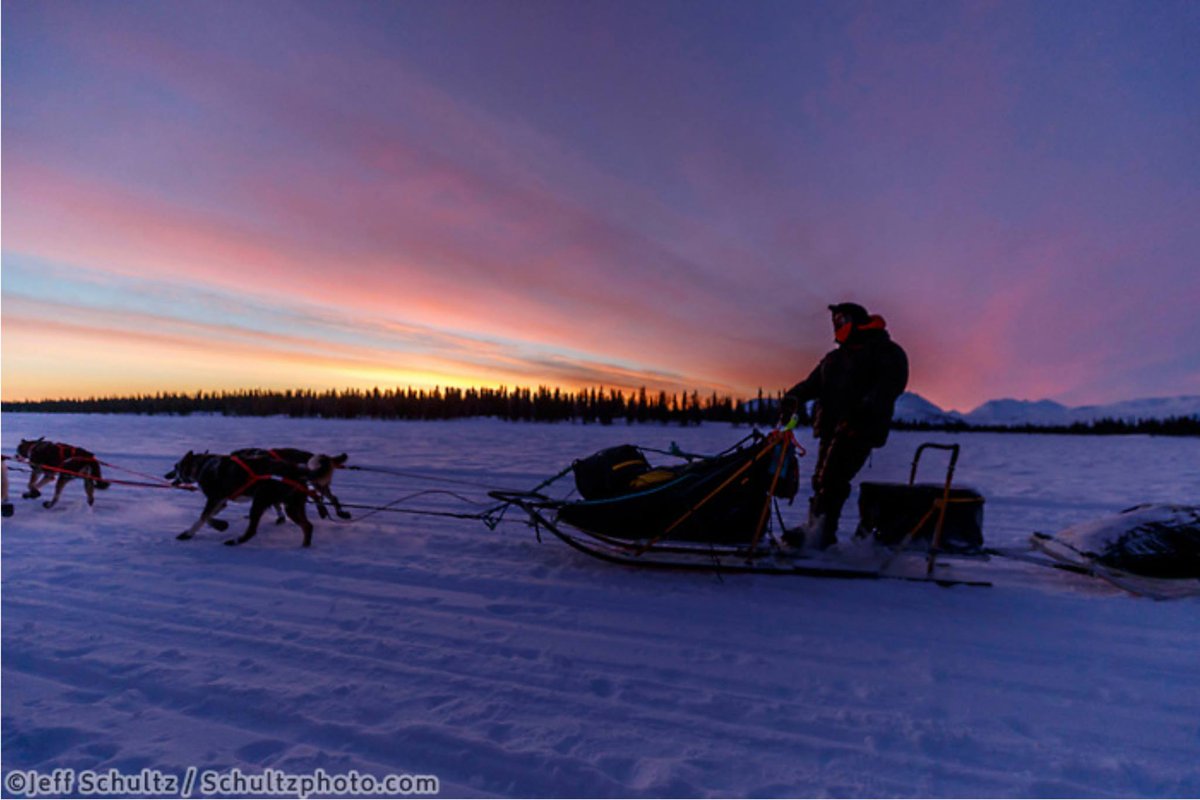 Jeff Schultz tweet media