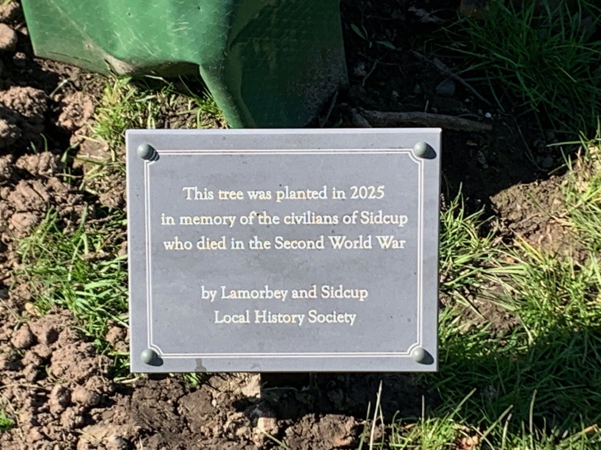 SidcupPast's tweet photo. The sun makes everything better!
Our new oak tree got a good watering over the winter and now it is getting a good dose of sunshine. https://t.co/nvnZoBI0Cn