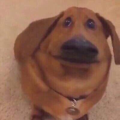 Втемелен_Цар tweet media