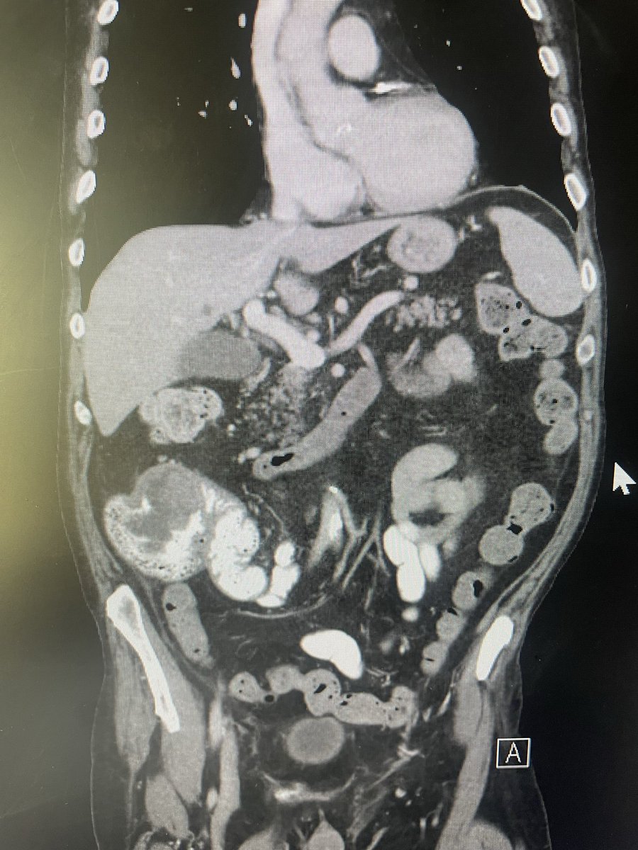 drcostantino tweet media