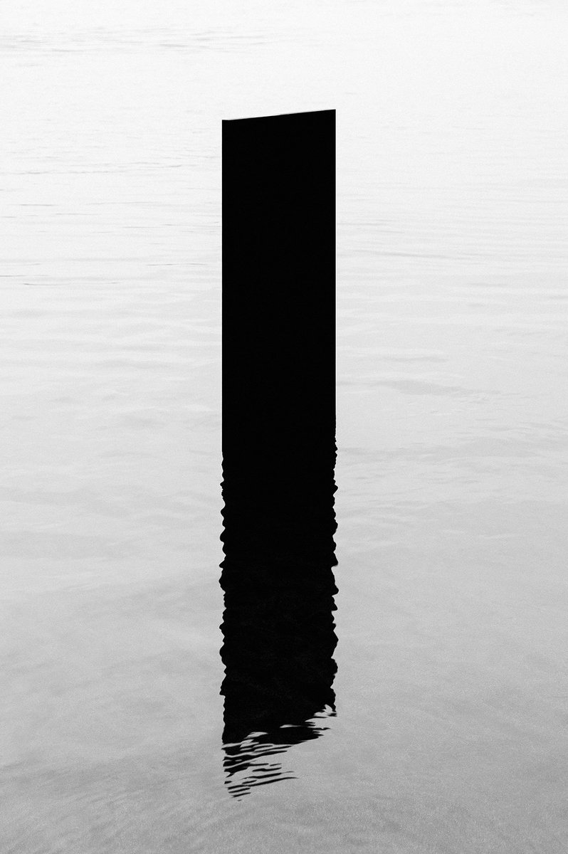 Esteban Amaro tweet media