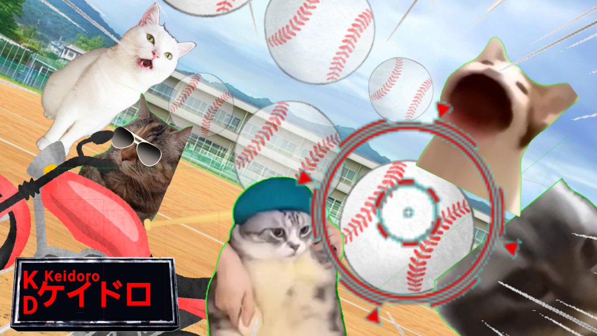 ねこミームボール/猫ミーム tweet media