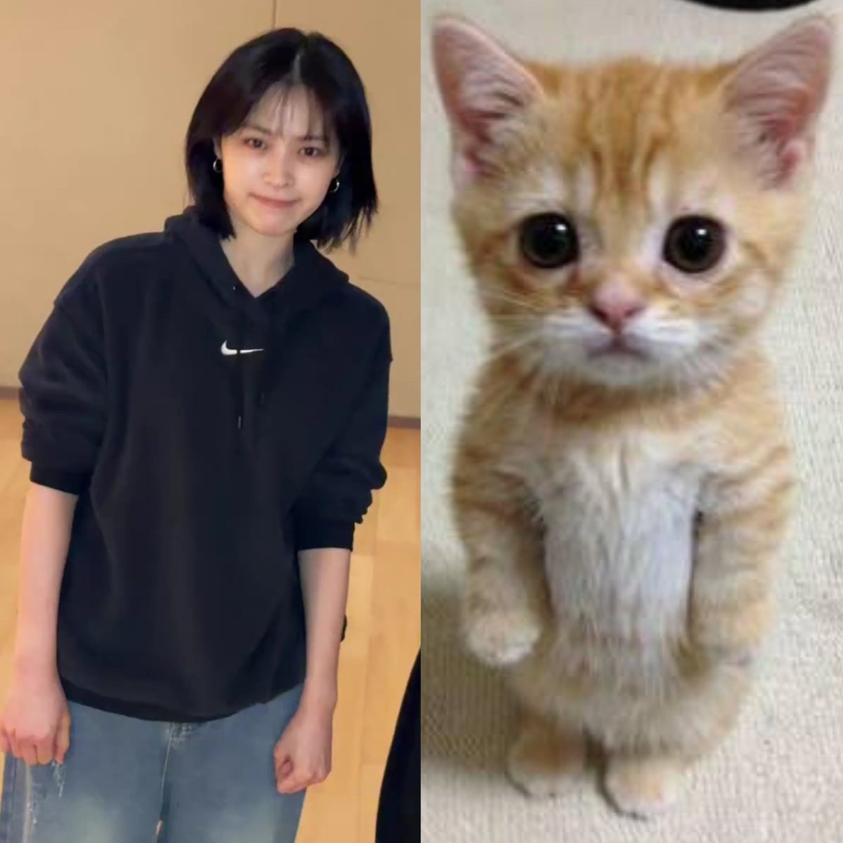 (˶˃⤙˂˶)