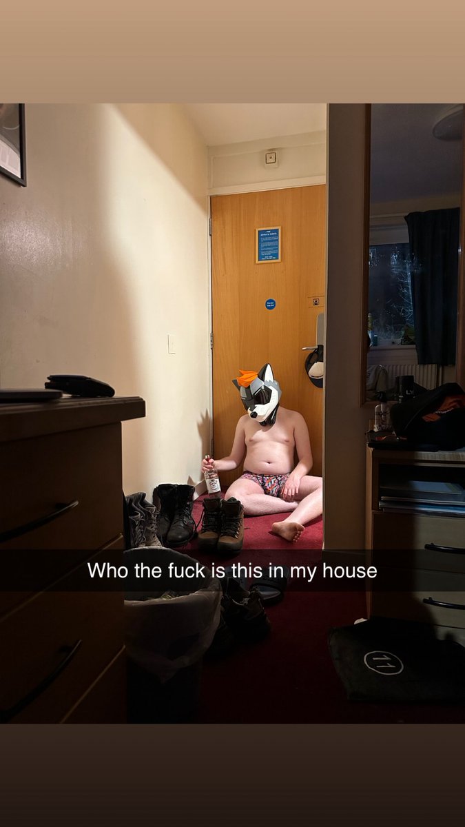 🦝Zorbino🦝 🔜 NFC tweet media